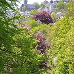 Parkhotel Waldschloesschen