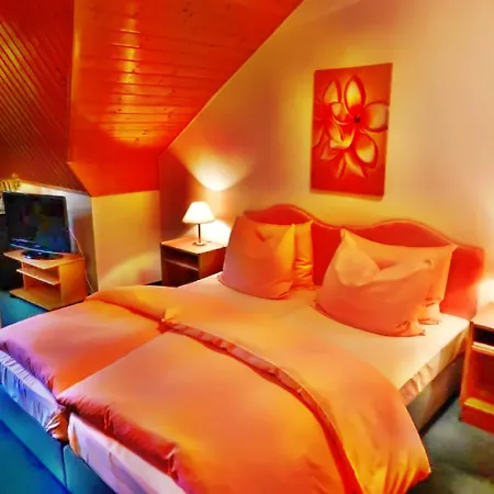 Отель Parkhotel Waldschloesschen Аннаберг-Бухгольц