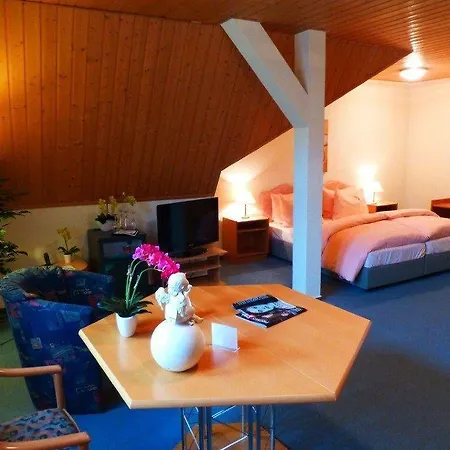 Parkhotel Waldschloesschen 3* Annaberg-Buchholz