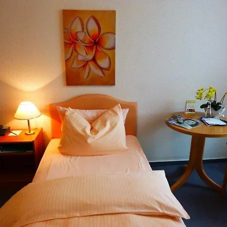 Parkhotel Waldschloesschen 3* Annaberg-Buchholz