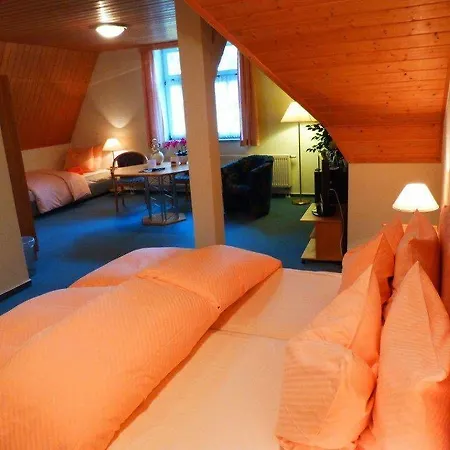 Hotel Parkhotel Waldschloesschen 3*