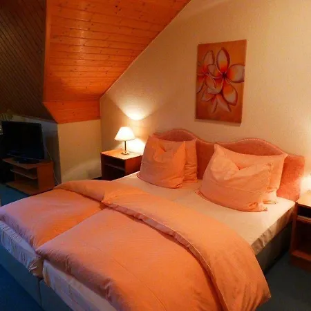Parkhotel Waldschloesschen Hotel 3*
