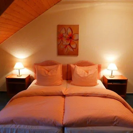 Parkhotel Waldschloesschen 3*